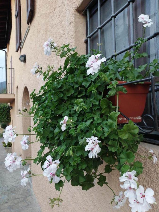 B&B Ronco Degli Ulivi Изео Екстериор снимка
